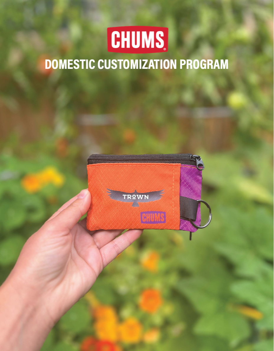 Domestic Customization Program 919